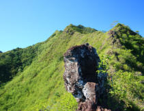 Rotui, klimmen in de tropen, Moorea, Frans Polynesië